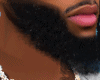 Hair Pony Locs - 034