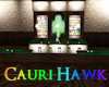 Furnished Irish Pub 25
