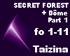 SECRET FOREST +Dôme1