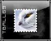 White Cat Stamp