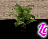 HeyWorld~Plant V1