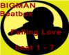 Bigman - Fallin Love