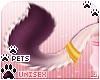 [Pets] Vida | tail v1