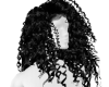 Curly Black Hairstyle