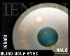Blind Wolf Eyes (M)