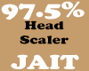 97.5% Head Scaler