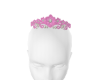 winteria tiara pink