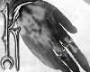 ╋━ ONE ARM