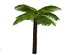 Palm Tree (low kb)