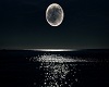 Moonlight - Wallpaper