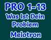 Melotron-Wo Ist Dein Pro