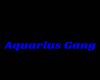 Aquarius Gang Particles