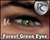 Forest Green Eyes