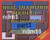 medley neil diamon pt1