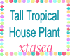 Tall Tropical HousePlant