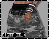 D13l DCS 2