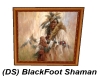 (DS) Blackfoot Shaman
