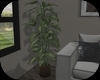 House Plant
