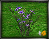 (ED1)Purple - flowers