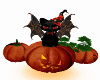 HALLOWEEN PET BLACK CAT