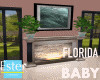 FLORIDA BABY HOUSE