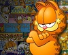 Garfield Flag