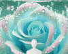 Orchid teal background