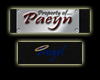 Paeyn's Collar (Angel)