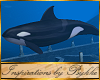 I~Atlantis Orca Whale