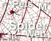 R|C Spider Web Red M