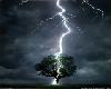 Lightning Striking Tree