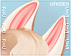 . Chic | Ears