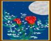 Roses in the moonlight