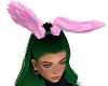 UP| Bunny Ears