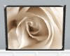 [CFD]White Rose WH1