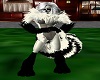 Raccoon Fur White F V1