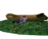 Animated Fairy Log 