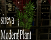sireva Modern PLant 