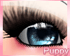 [Pup] Azn Eyelashes V2