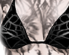 web-
