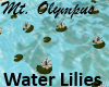 Mt. Olympus Water Lilies