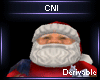 Christmas Santa