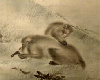 Japanese painting-Monkey