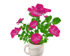 Roses in Coffee Cup 3