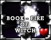 !Pk Fire -Book Witch 3