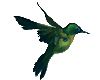 hummingbird animated