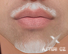 ❌ Asteri beard v18