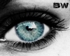 Real Blue Unisex Eyes L