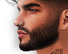 JCX Facial Hair Custom