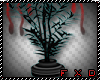 (FXD) Dark Vamp Plant